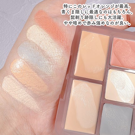 コンシールブレンダーパレット/LUNA/パレットコンシーラーを使ったクチコミ(4枚目)