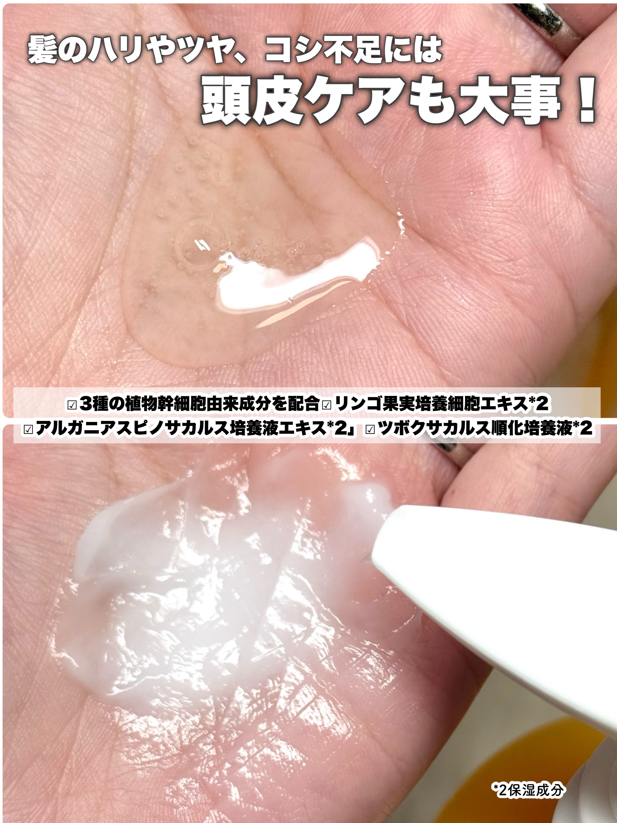 ピオラ　ボタニカルボリュームシャンプー/トリートメント/pieora/市販シャンプーを使ったクチコミ（3枚目）