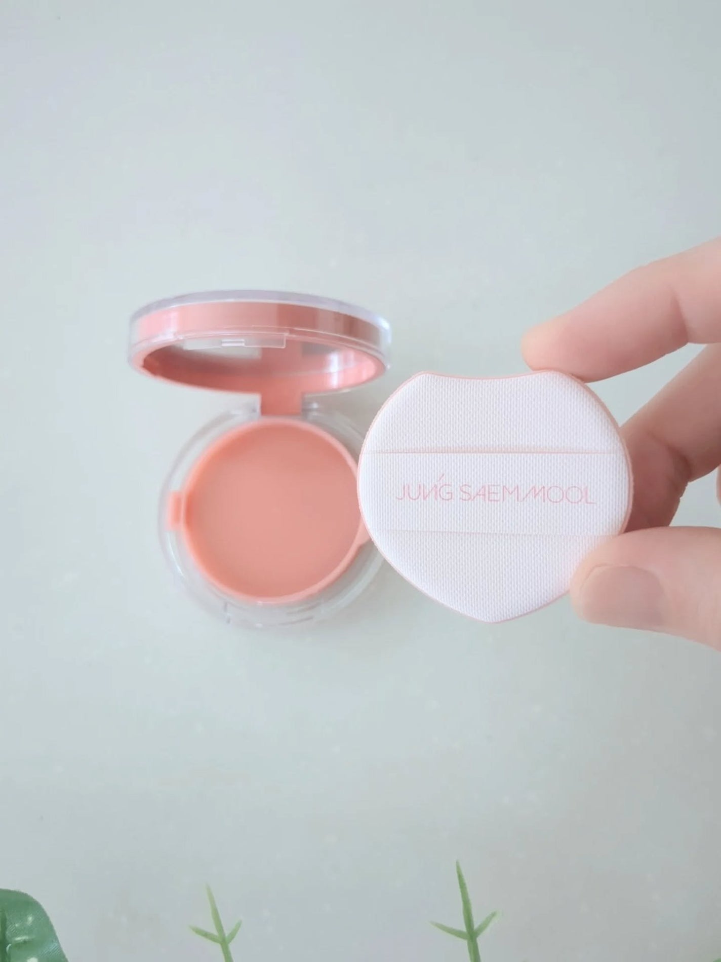 アーティストクッションブラッシュ/JUNG SAEM MOOL/リキッドチークを使ったクチコミ(2枚目)