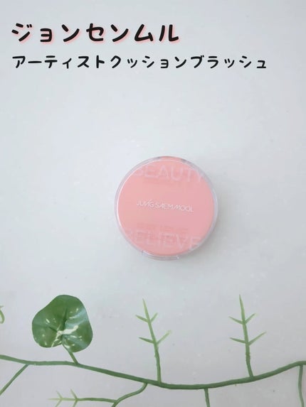 アーティストクッションブラッシュ/JUNG SAEM MOOL/リキッドチークを使ったクチコミ(1枚目)