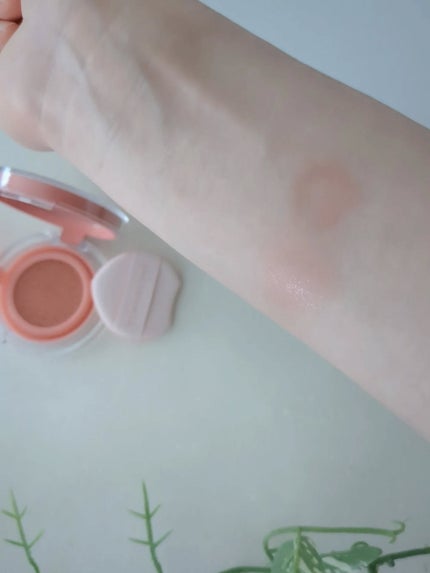 アーティストクッションブラッシュ/JUNG SAEM MOOL/リキッドチークを使ったクチコミ(3枚目)