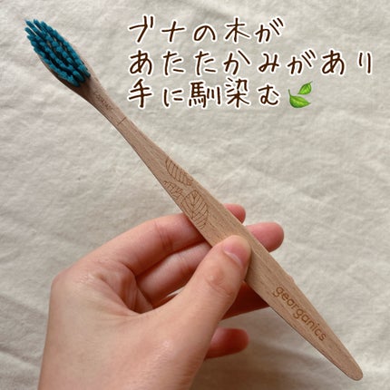 beechwoodtoothbrush/georganics/歯ブラシを使ったクチコミ(3枚目)