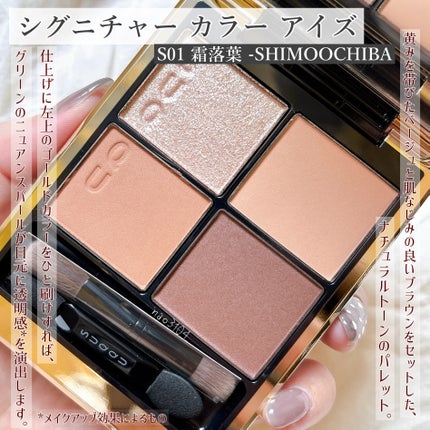 シグニチャー カラー アイズ/SUQQU/アイシャドウパレットを使ったクチコミ(2枚目)