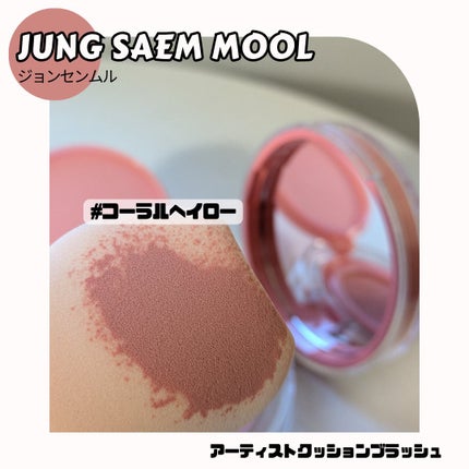 アーティストクッションブラッシュ/JUNG SAEM MOOL/リキッドチークを使ったクチコミ(5枚目)