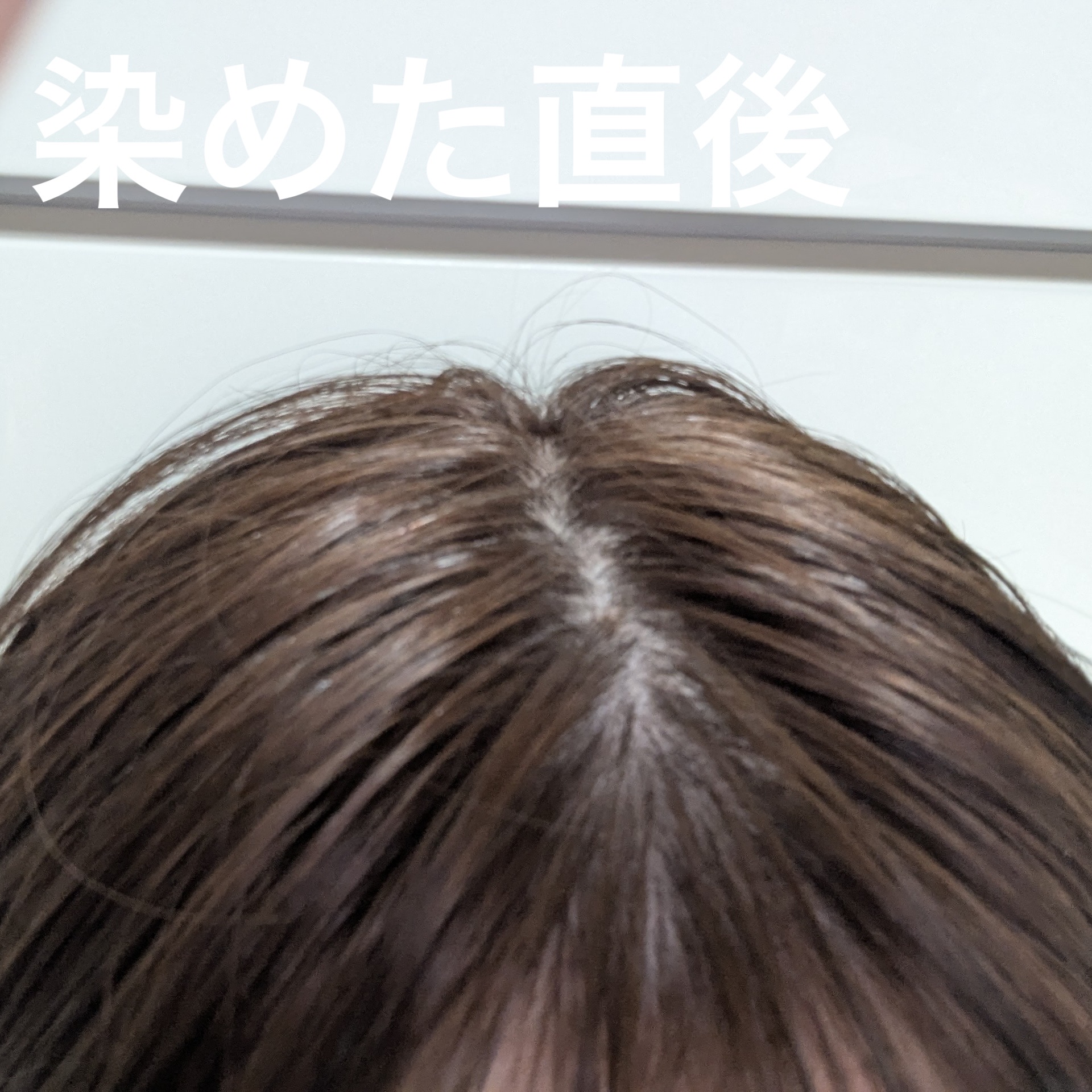 泡カラー 白髪用｜ブローネの口コミ - この白髪染め時間が経っても白髪