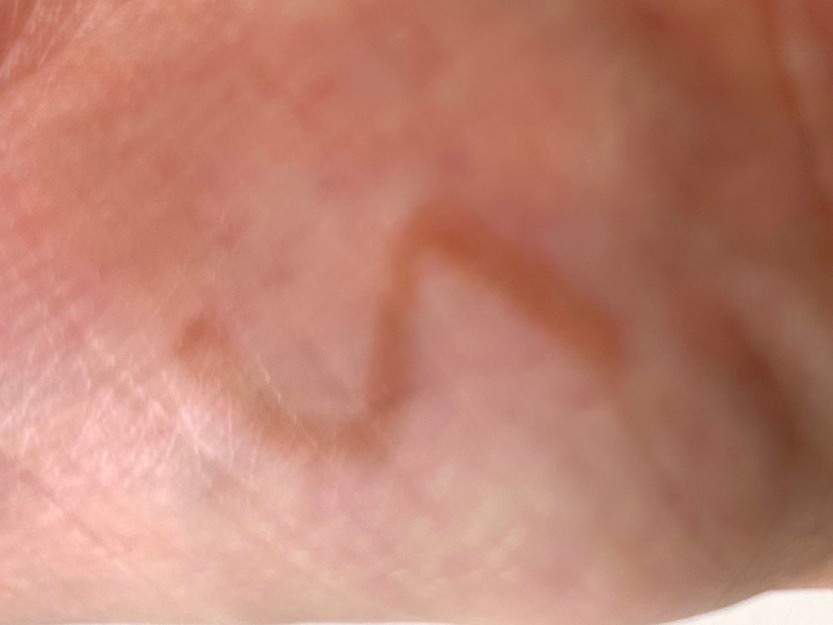 ブラシ付 アイブロウ/CEZANNE/アイブロウペンシルを使ったクチコミ(3枚目)