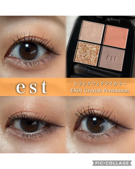 エスト トランスフィア アイカラー/est/アイシャドウパレットを使ったクチコミ(1枚目)