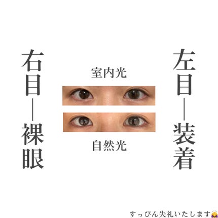 MOLAK 1day メルティーミスト/MOLAK/ワンデー(1DAY)カラコンの画像