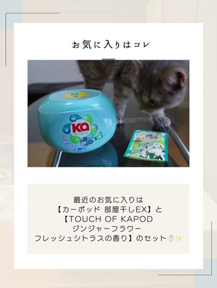 カーポッド 部屋干しEX/王子製薬/洗濯洗剤を使ったクチコミ(5枚目)