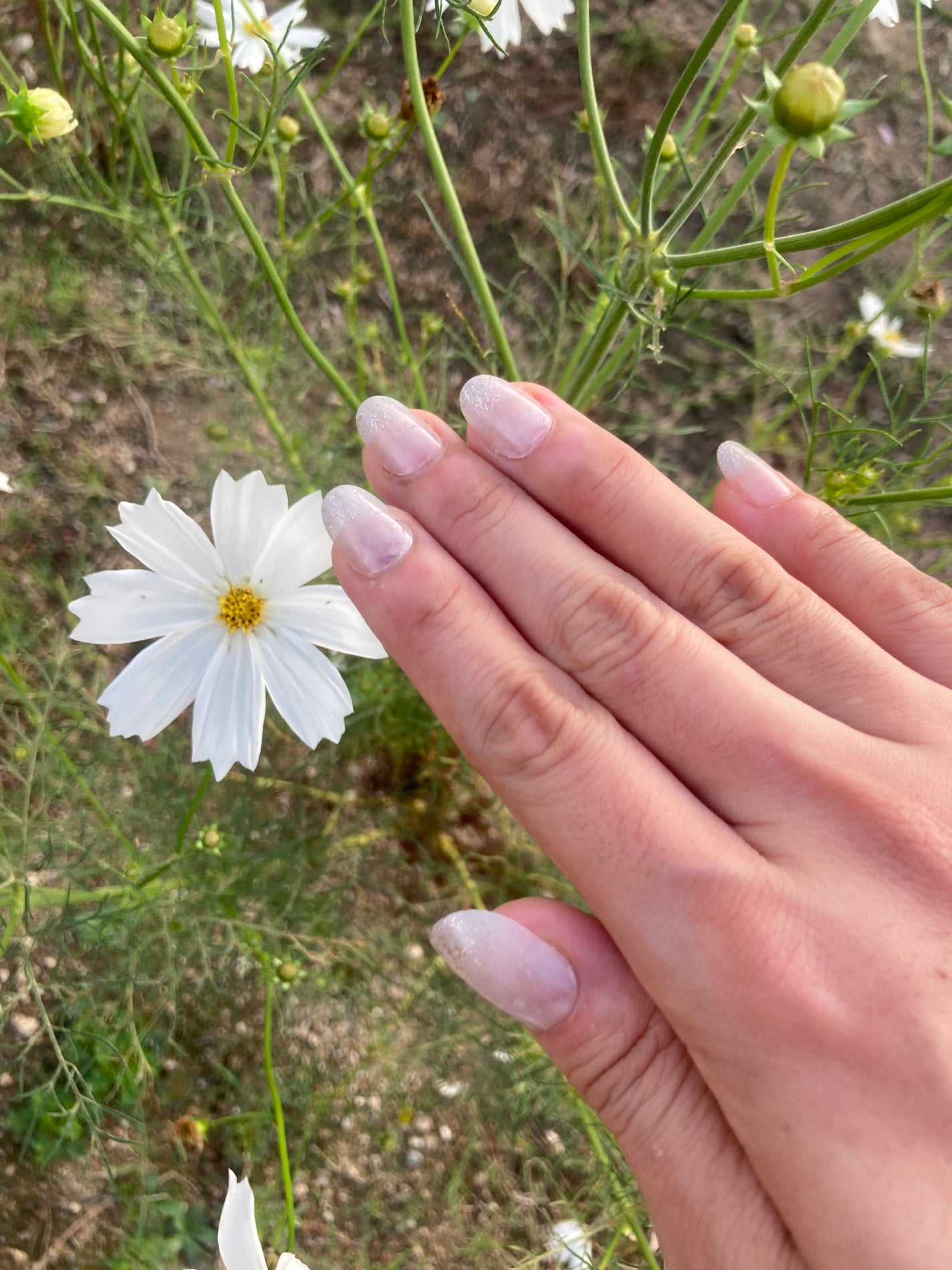 ゆうこ✲*゚ on LIPS 「DAISOネイルチップハンド用✨✨別売りでネイルグルーや両面テ..」(1枚目)