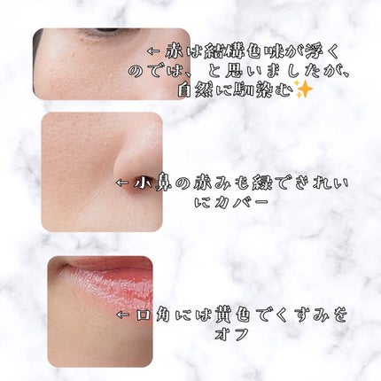 コンシールブレンダーパレット/LUNA/パレットコンシーラーを使ったクチコミ(4枚目)