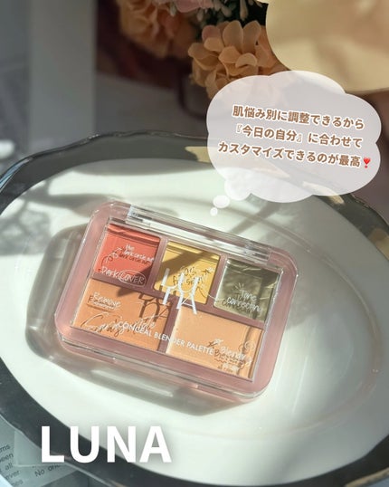 コンシールブレンダーパレット/LUNA/パレットコンシーラーを使ったクチコミ(5枚目)