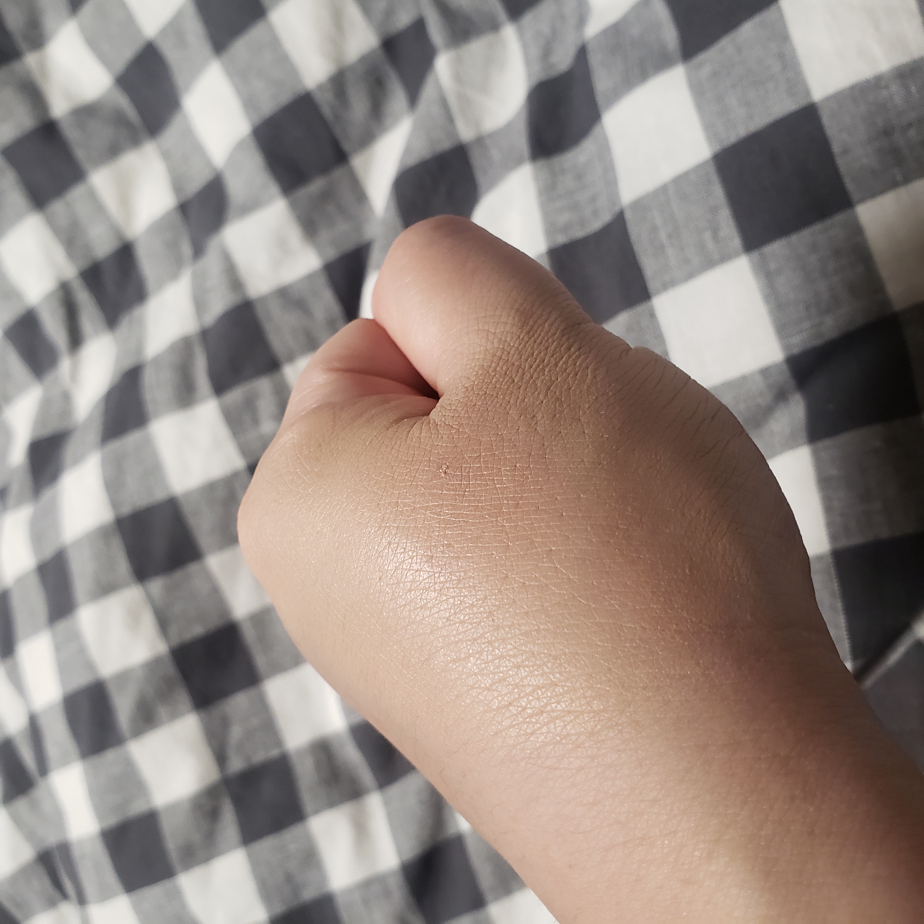 ネーミング フラッフィーパウダーブラッシュ/NAMING./パウダーチークを使ったクチコミ（3枚目）