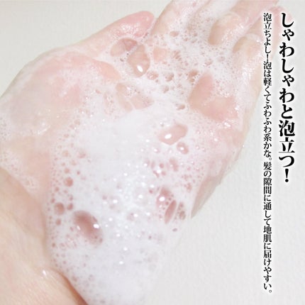 ディープレイヤー シャンプーExV/トリートメントExV 【プロフェッショナルユース】/DeepLayer/サロンシャンプーを使ったクチコミ(6枚目)