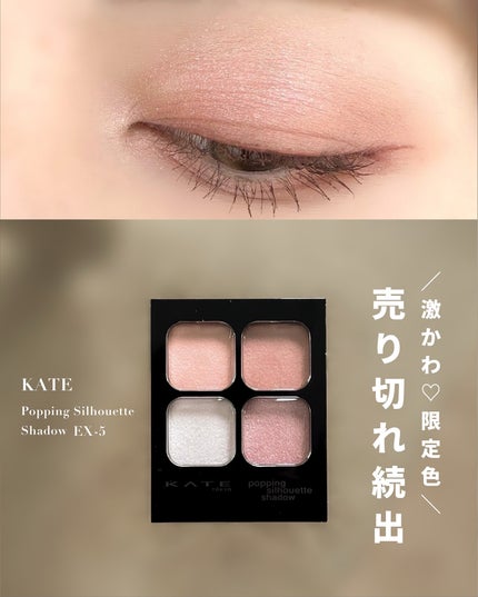 ケイト ポッピングシルエットシャドウ/KATE/アイシャドウパレットを使ったクチコミ(1枚目)