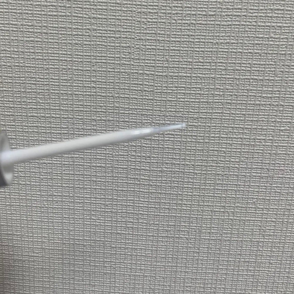 アイラッシュフィクサーEX 552/D-UP/つけまつげを使ったクチコミ(2枚目)