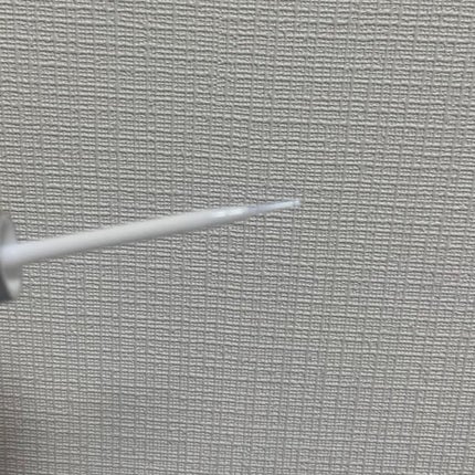 アイラッシュフィクサーEX 552/D-UP/つけまつげを使ったクチコミ(2枚目)