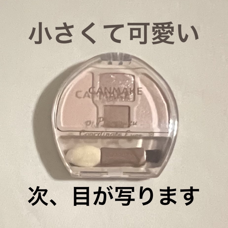 プランぷくコーデアイズNeo/キャンメイク/アイシャドウを使ったクチコミ（3枚目）