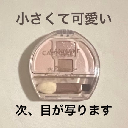 プランぷくコーデアイズNeo/キャンメイク/アイシャドウを使ったクチコミ(3枚目)
