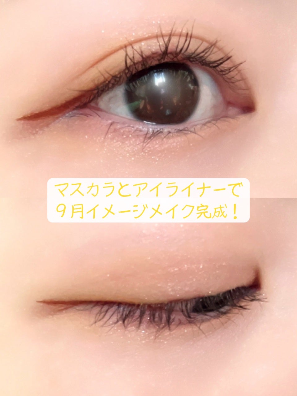 UT シャドウ パレット/NYX Professional Makeup/アイシャドウパレットを使ったクチコミ(8枚目)