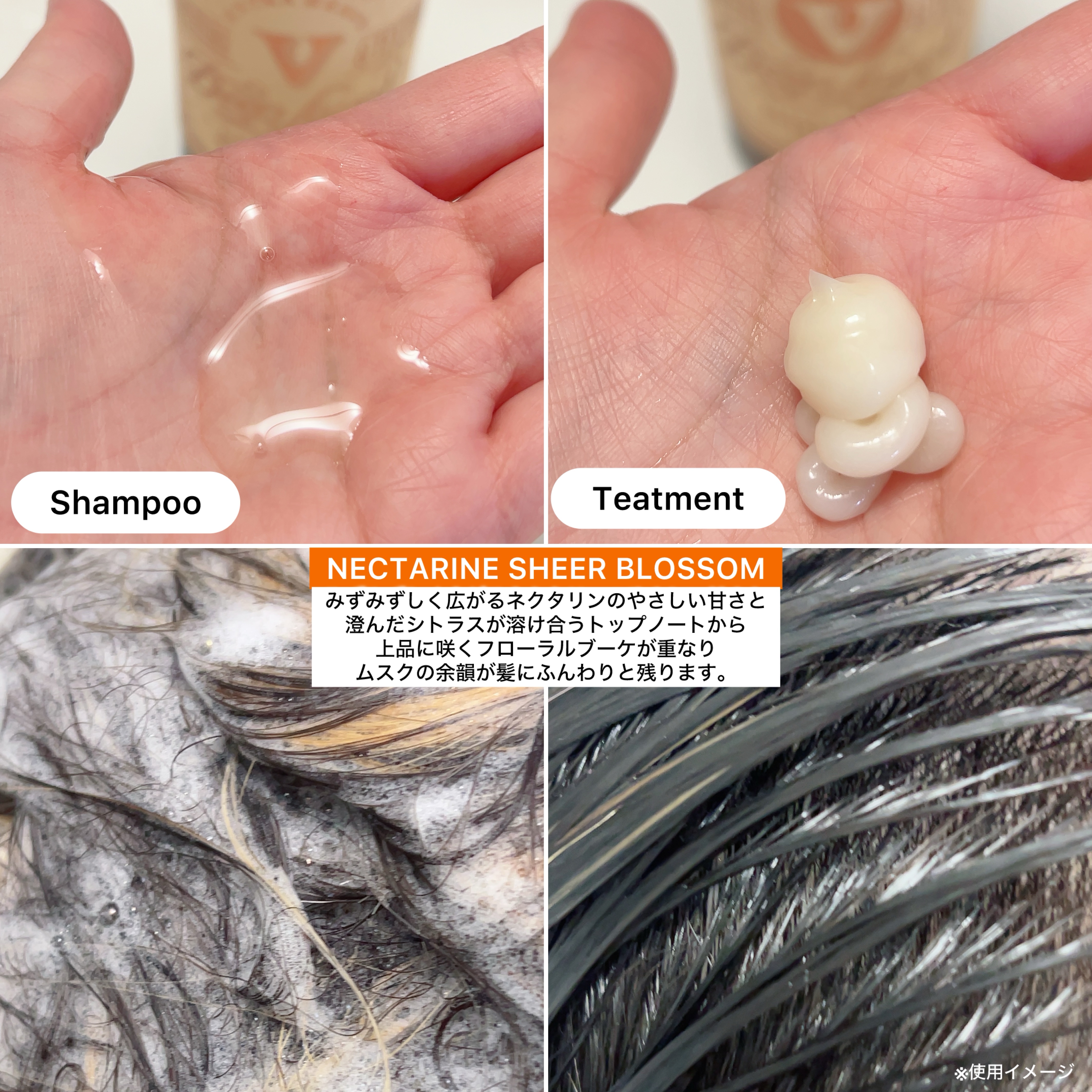 ディープレイヤー シャンプーExV/トリートメントExV 【プロフェッショナルユース】 シャンプー（80mL）/DeepLayer/サロンシャンプーを使ったクチコミ（2枚目）