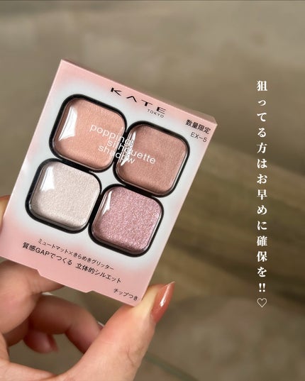 ケイト ポッピングシルエットシャドウ/KATE/アイシャドウパレットを使ったクチコミ(7枚目)
