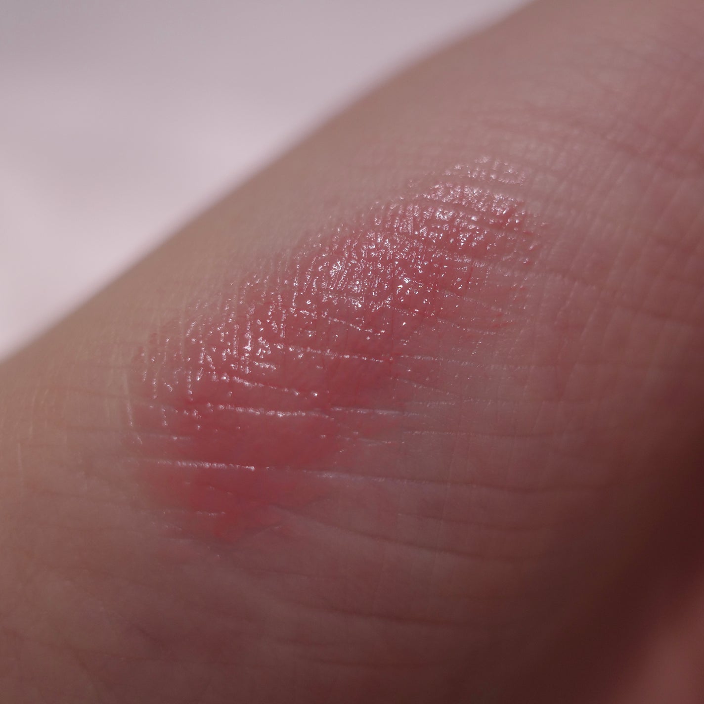 ジルスチュアート リボンファッションショー コレクション/JILL STUART/メイクアップキットを使ったクチコミ(7枚目)