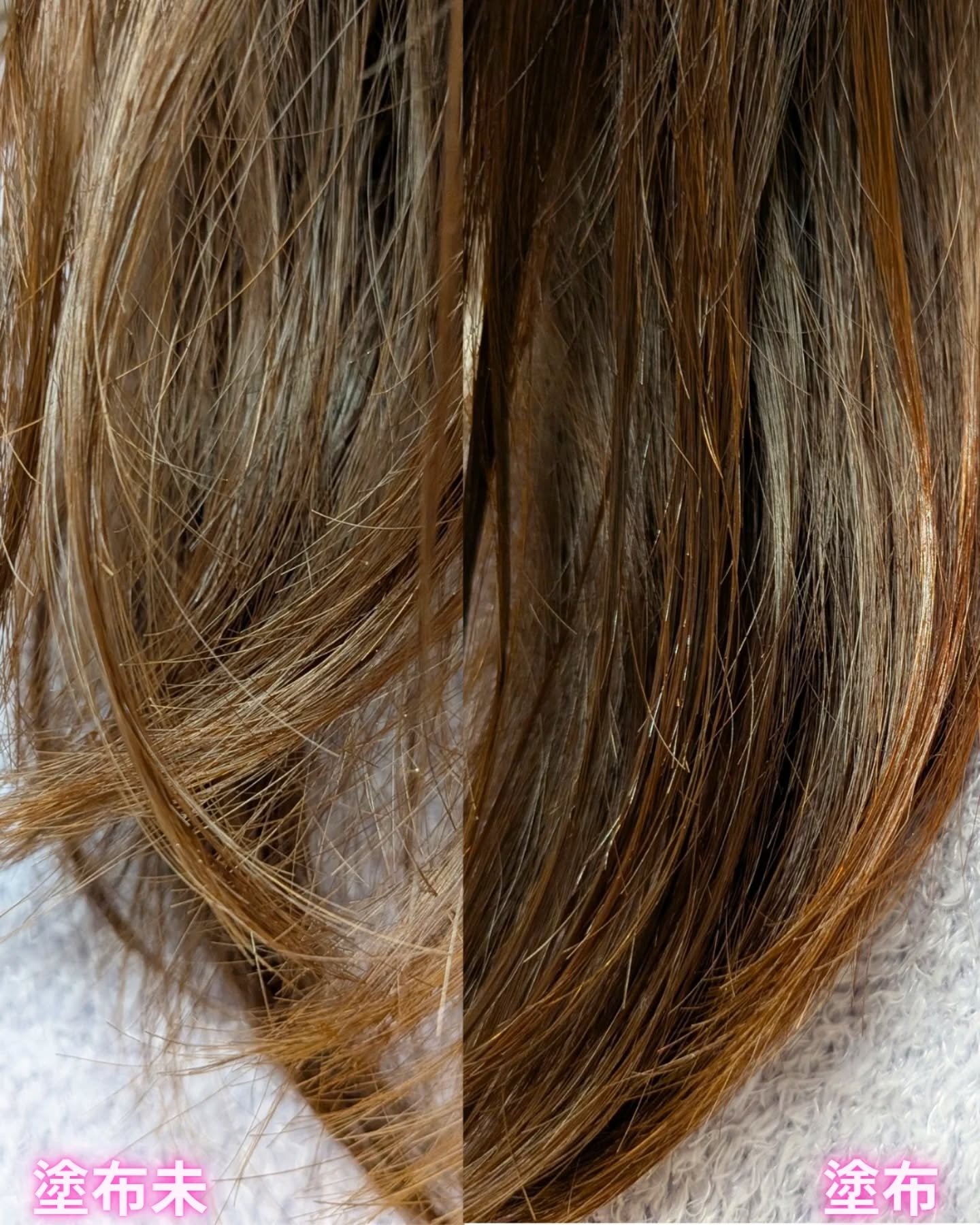 テンスターHenaReborn　ルミナヘアオイル/テンスターHenaReborn/ヘアオイルを使ったクチコミ（3枚目）