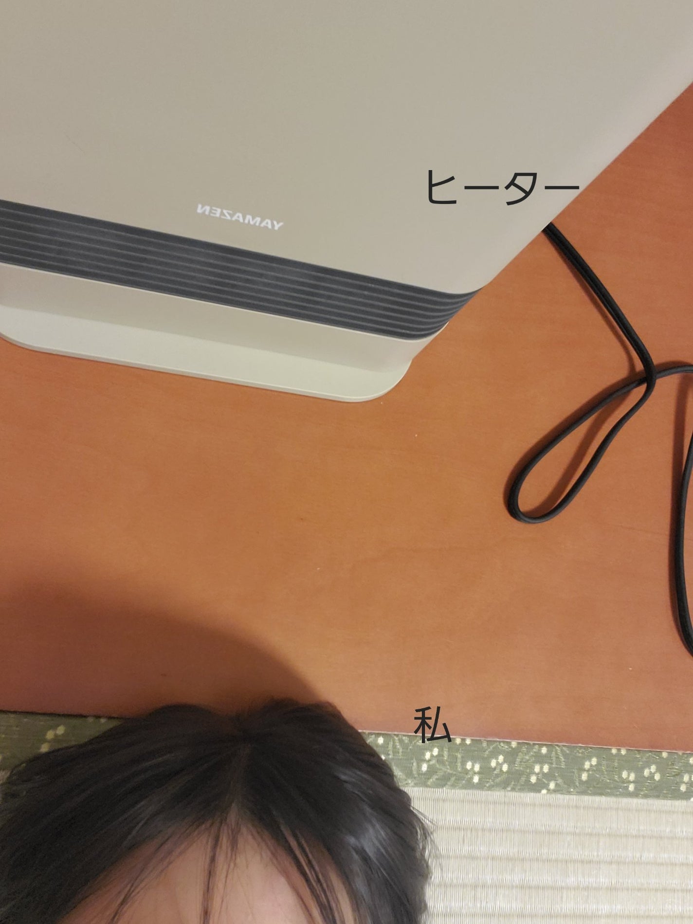 もな⸜( *´꒳`*)⸝フォロバ100%💮🎀💭 on LIPS 「ドライヤー壊れて今これ..」(1枚目)