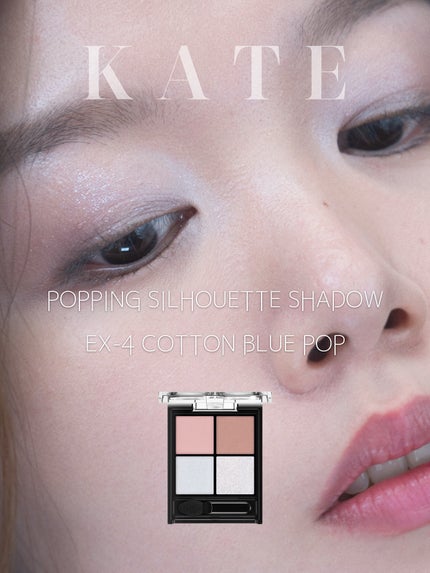 ケイト ポッピングシルエットシャドウ/KATE/アイシャドウパレットを使ったクチコミ(1枚目)