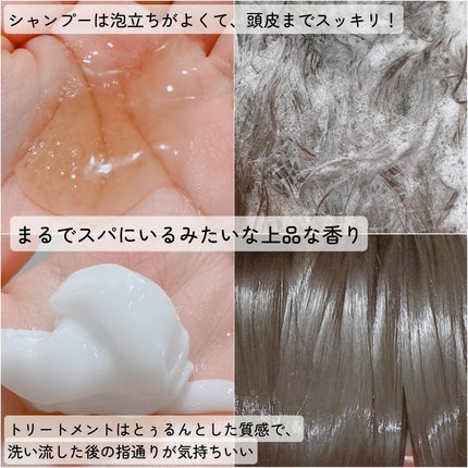 ヘトラス シャンプー&トリートメント/hetras/市販シャンプーを使ったクチコミ(3枚目)