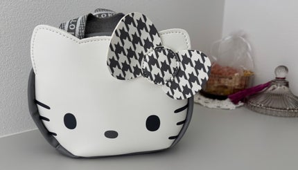 HELLO KITTY × BRILMY 中身が見えて時短がかなう ズボラに優しいコスメポーチ BOOK/宝島社/雑誌を使ったクチコミ(1枚目)