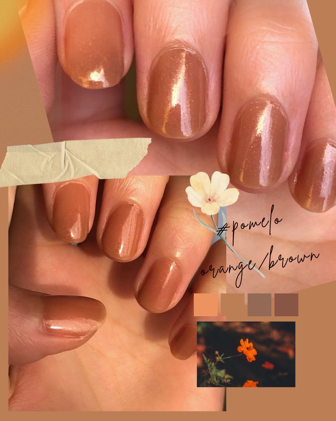 FINGER SUIT ネイルポリッシュ/FINGER SUIT/マニキュアを使ったクチコミ(4枚目)