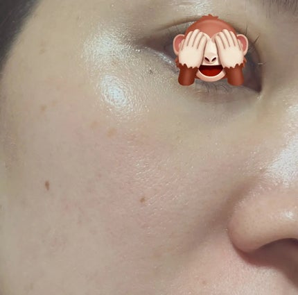 リキッド ファウンデイションe 100/IPSA/リキッドファンデーションの画像