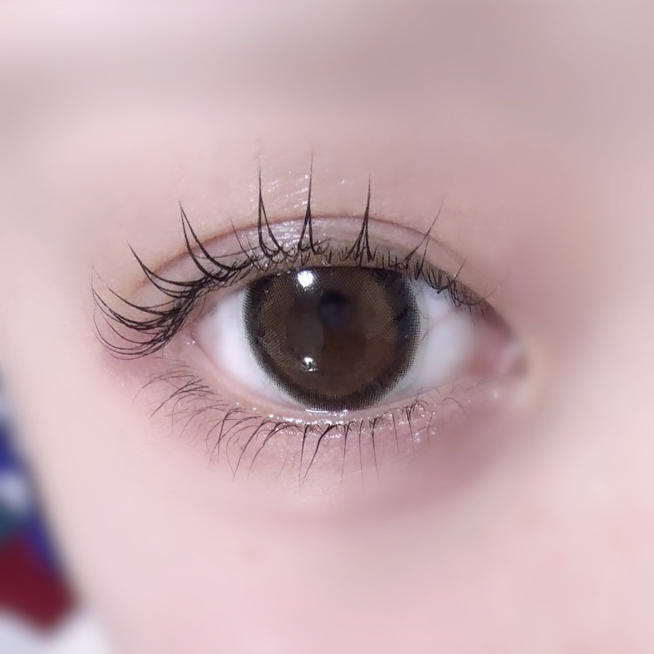 aheb アイラッシュカーリングスティック/aheb/ホットビューラーを使ったクチコミ（1枚目）