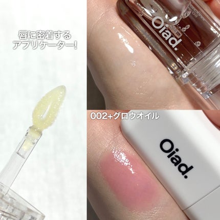 リップティーク/oiad/口紅を使ったクチコミ(3枚目)