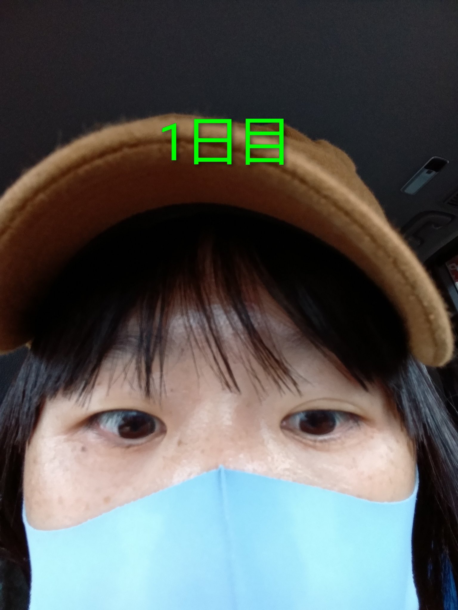 ローヤルゼリー配合 栄養ローション/DAISO/美容液を使ったクチコミ（2枚目）