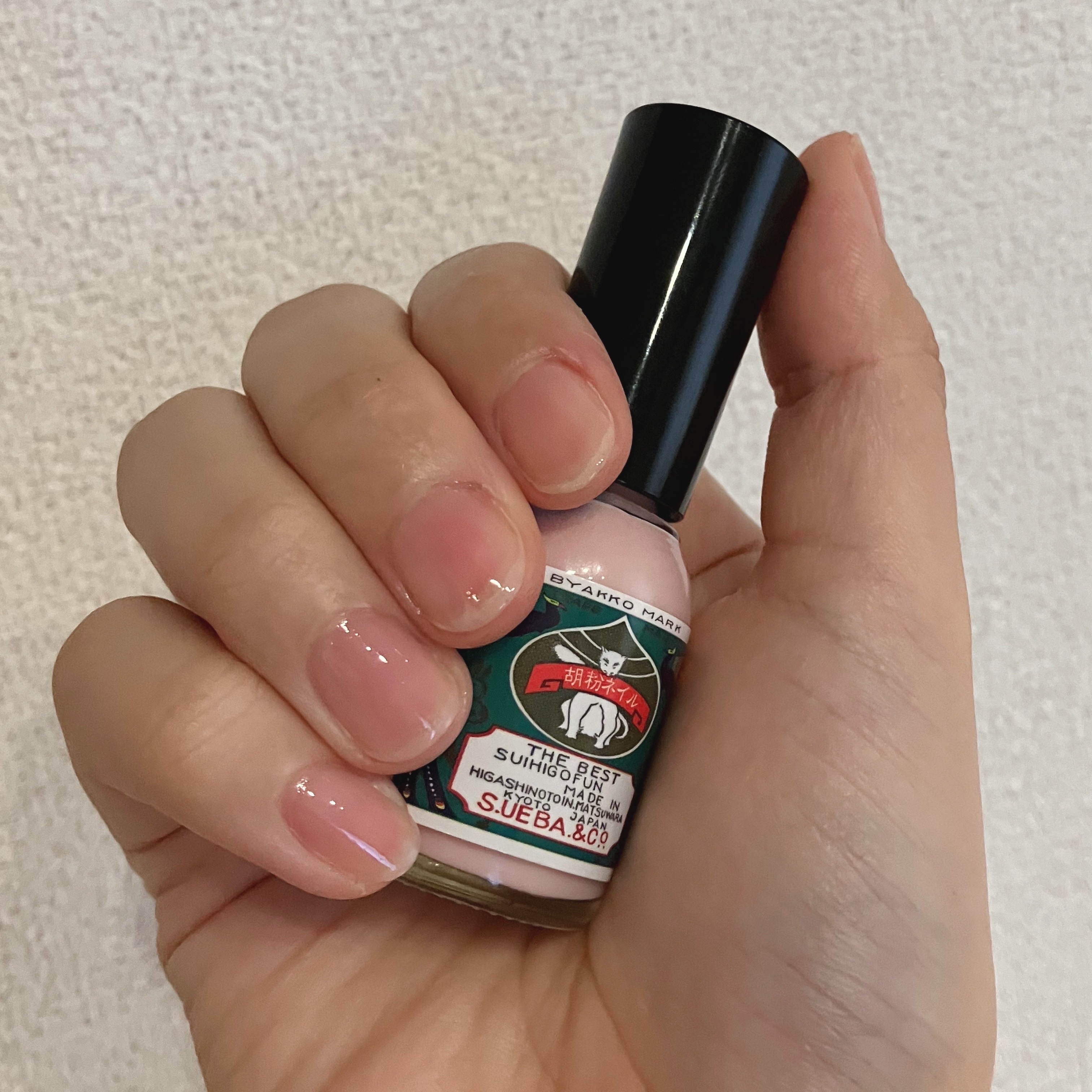 胡粉ネイル 2024春夏限定色/上羽絵惣/マニキュアを使ったクチコミ（1枚目）
