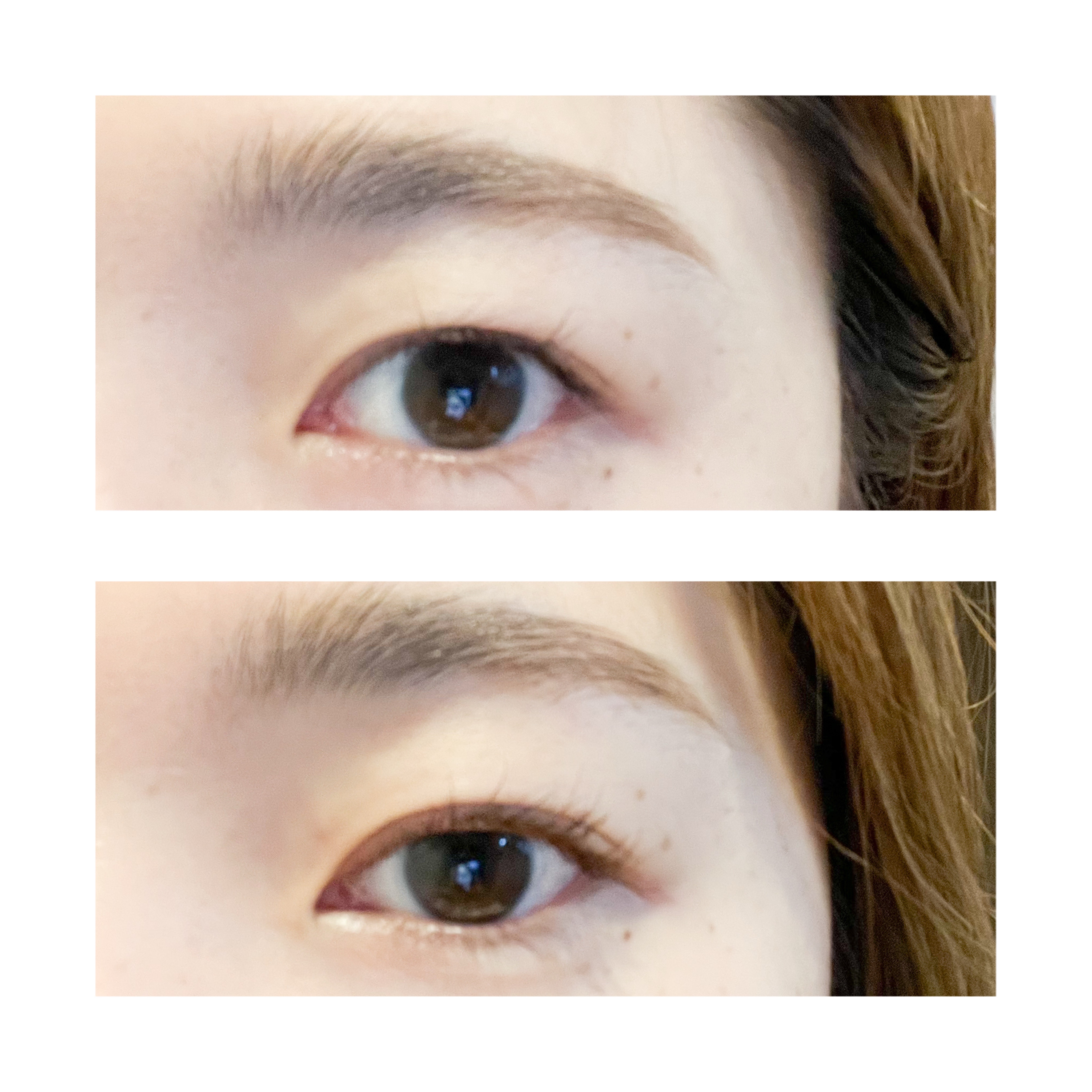 アイラッシュデザインメイカー/クレーリナ/マスカラ下地を使ったクチコミ（2枚目）