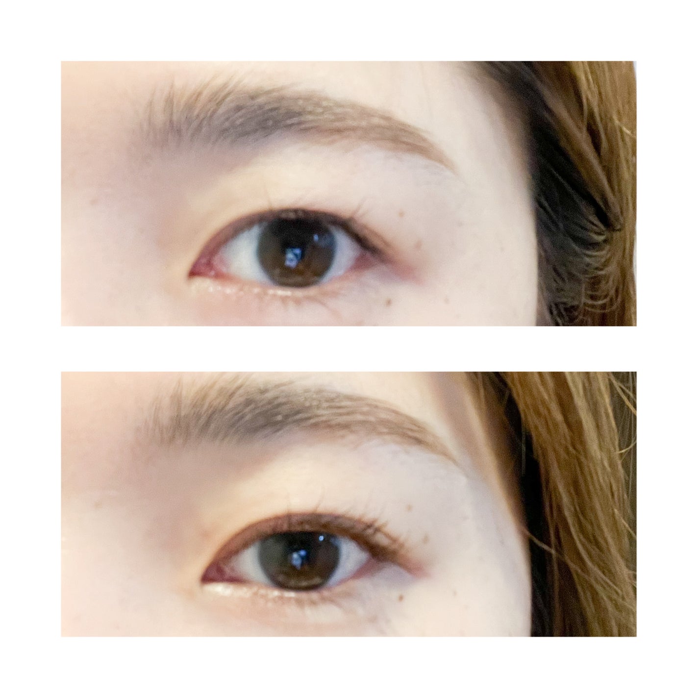 アイラッシュデザインメイカー/クレーリナ/マスカラ下地を使ったクチコミ(2枚目)