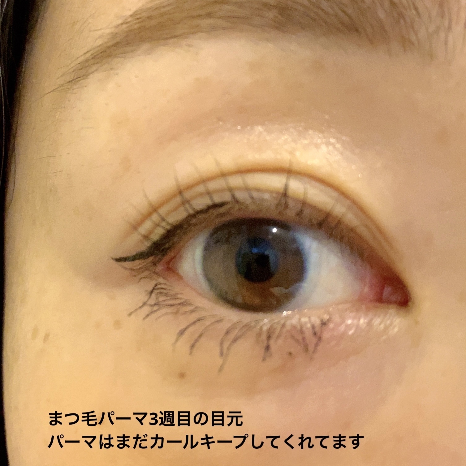 フェニックス アイラッシュサポートジェル/オデットアイラッシュコスメティクス/まつげ美容液を使ったクチコミ（3枚目）