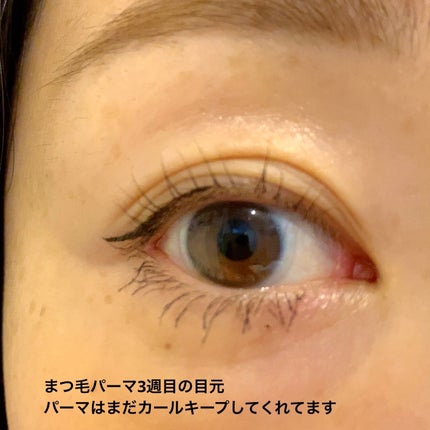 フェニックス アイラッシュサポートジェル/オデットアイラッシュコスメティクス/まつげ美容液を使ったクチコミ(3枚目)