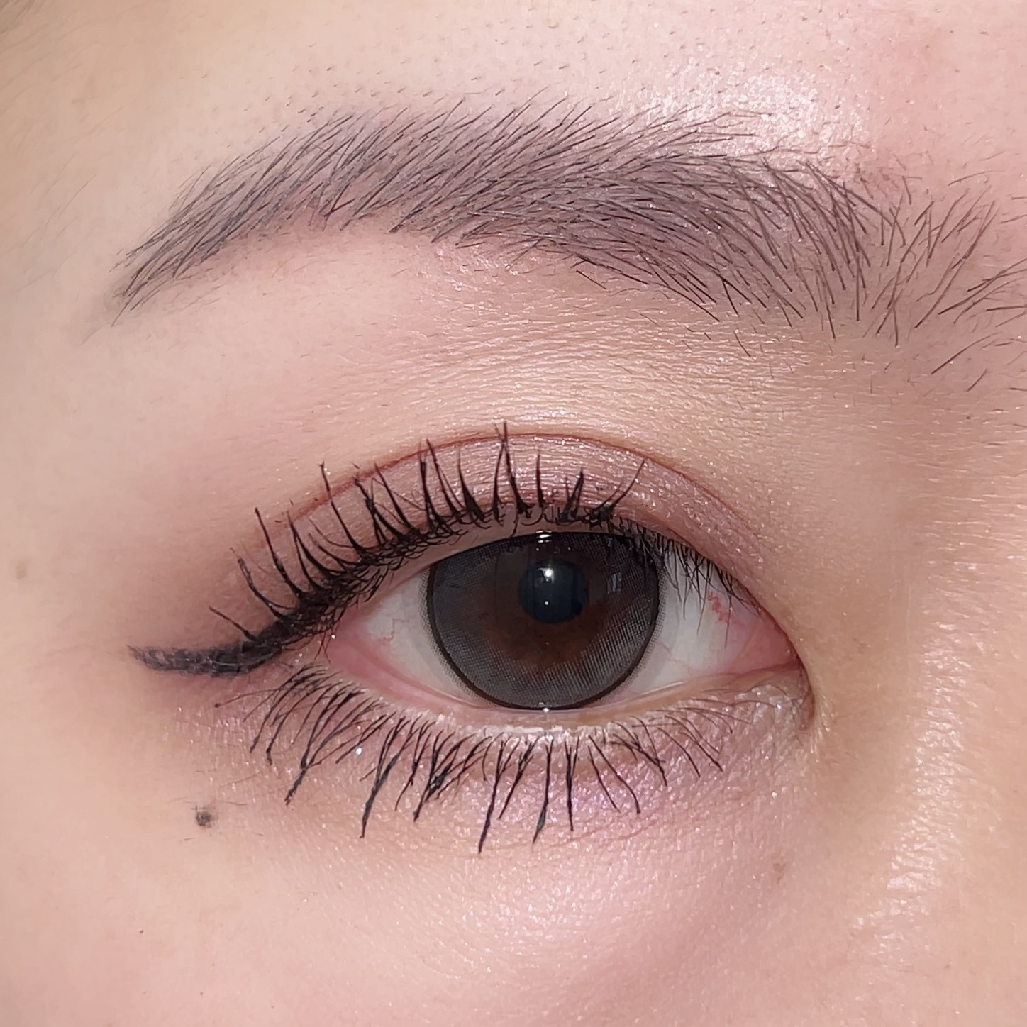 SUQQU メイクアップ キット 舜華/SUQQU/メイクアップキットを使ったクチコミ（3枚目）