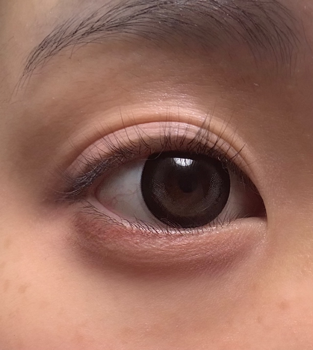 Chapun 1DAY/Chapun/ワンデー（１DAY）カラコンを使ったクチコミ（1枚目）