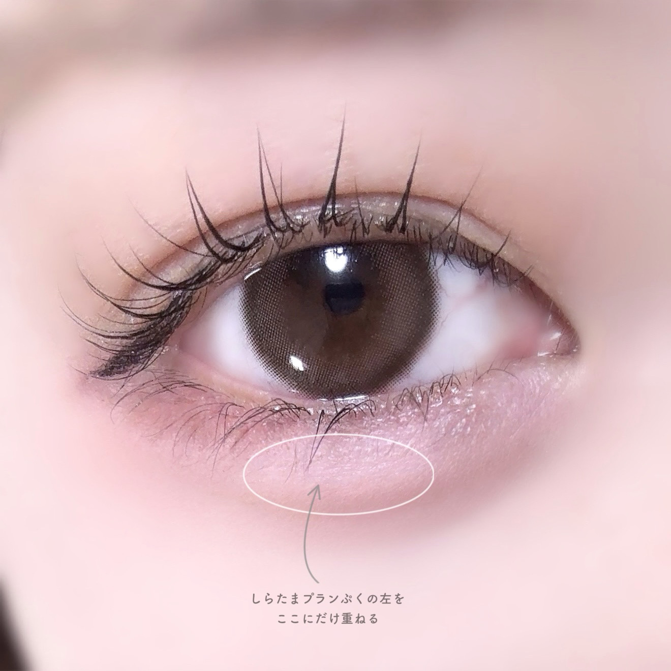 ベターミーアイパレット/2aN/マルチパレットを使ったクチコミ（1枚目）