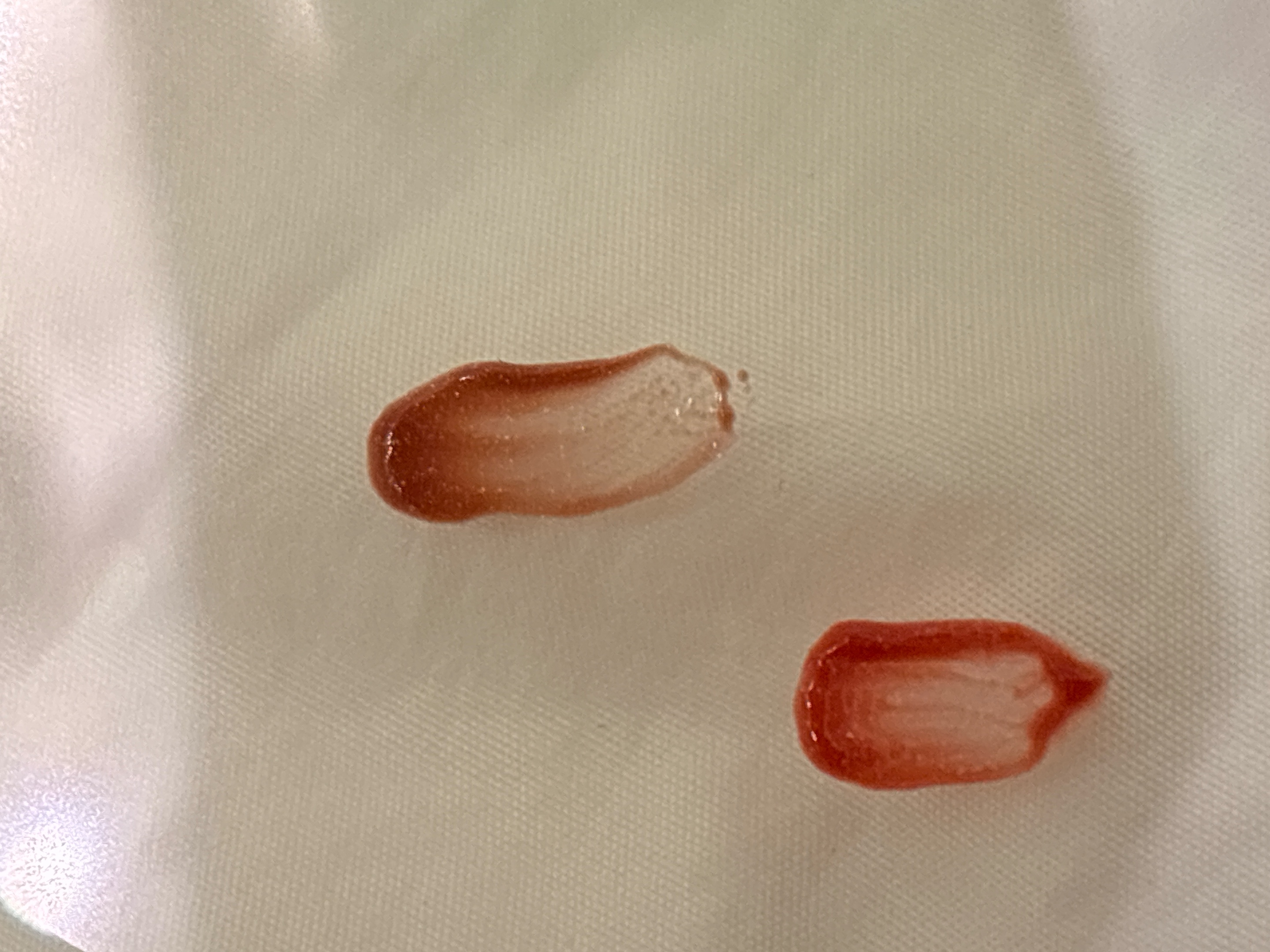 アップトゥーミー　ハグマイリップ　カラーロックプランパー/up2me/リッププランパーを使ったクチコミ（2枚目）