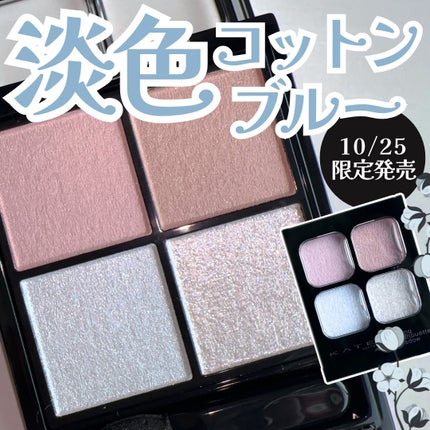 ケイト ポッピングシルエットシャドウ/KATE/アイシャドウパレットを使ったクチコミ(1枚目)