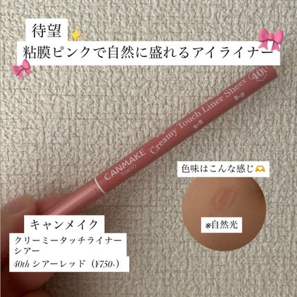 クリーミータッチライナー シアー/キャンメイク/ジェルアイライナーを使ったクチコミ(1枚目)