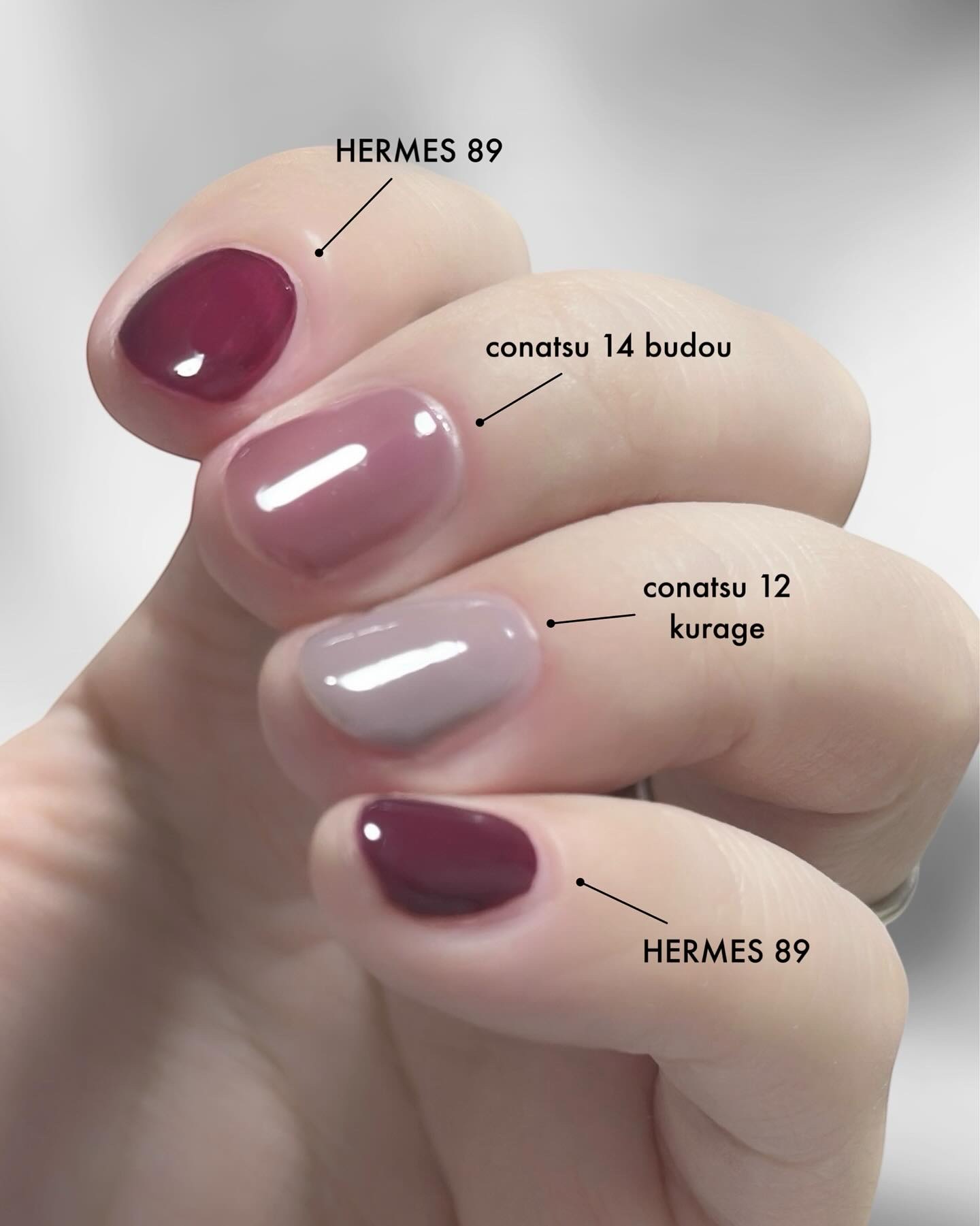 レ マン エルメス ヴェルニ エマイユ 89 ヴィオレ・ビザンタン/エルメス/マニキュアを使ったクチコミ（1枚目）