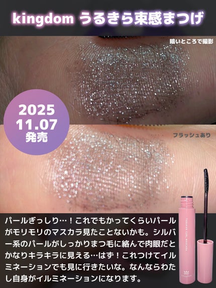 キングダム 束感カールマスカラ/キングダム/マスカラを使ったクチコミ(3枚目)